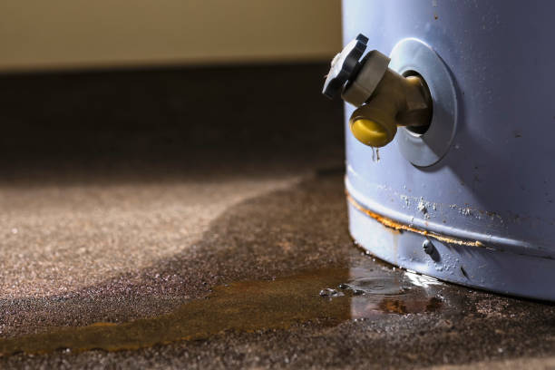 Best Sewage cleanup and water damage restoration  in West Haverstraw, NY