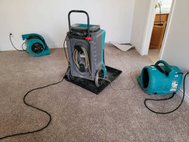 Best Sewage cleanup and water damage restoration  in West Haverstraw, NY