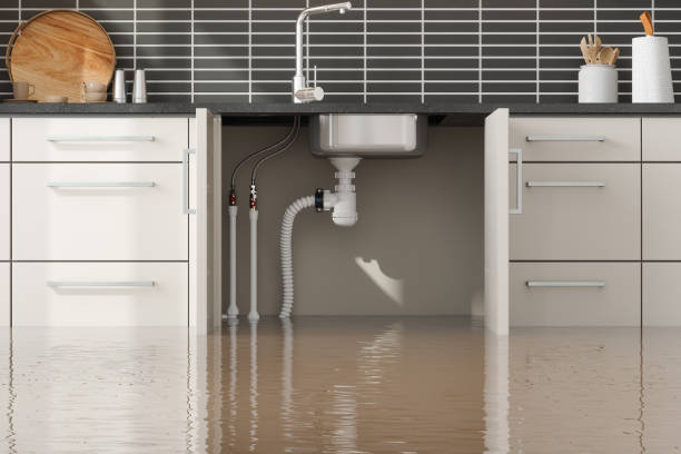 Best Water damage contractors near me  in West Haverstraw, NY