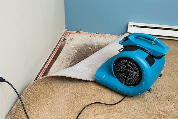 Best Flood damage cleanup  in West Haverstraw, NY